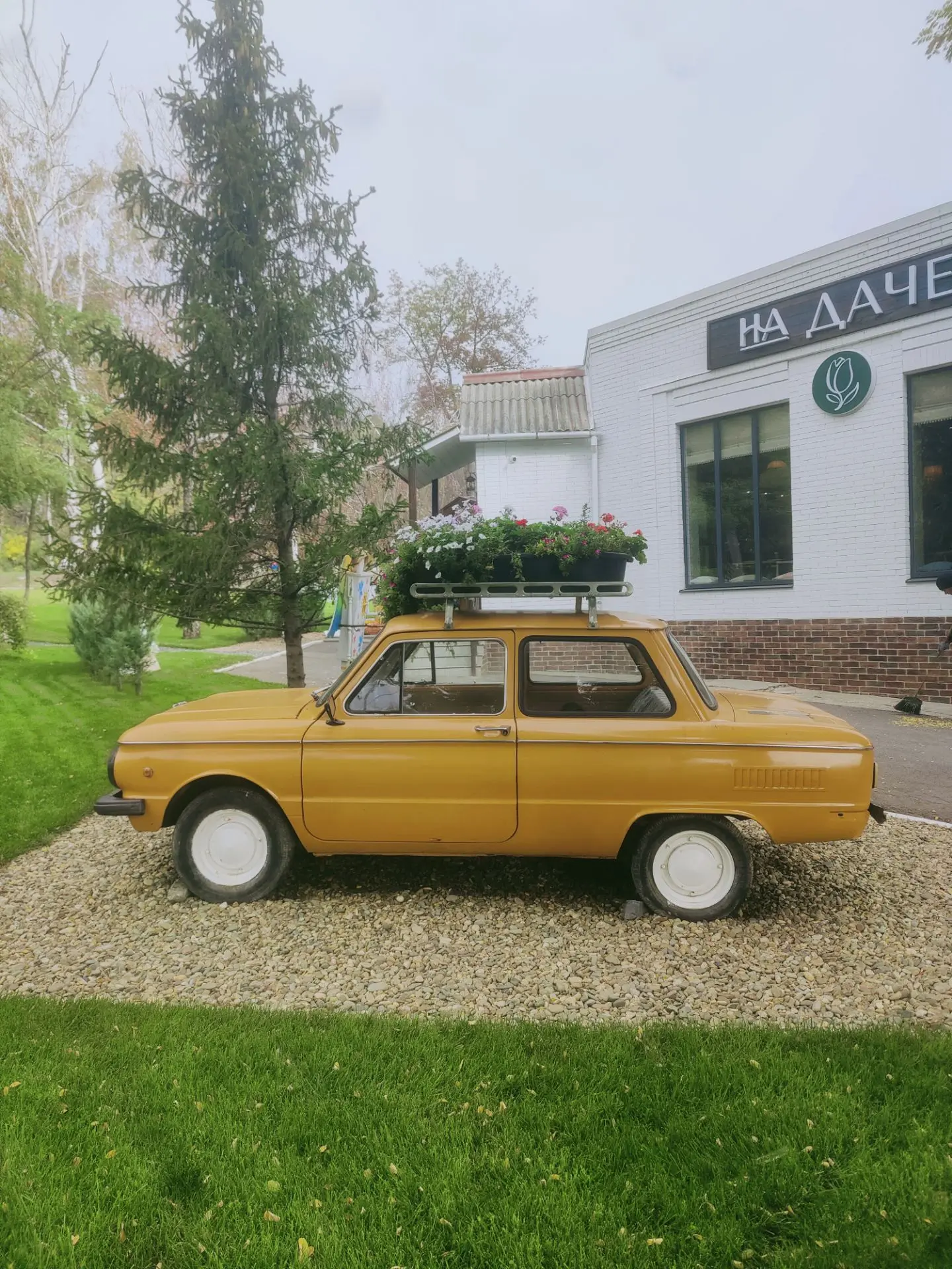По дороге из Ростова в Старочеркасск 🚗
