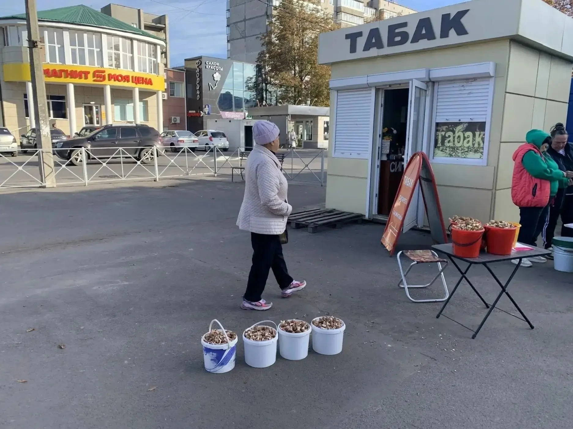 🍄 🟫 Сомневаешься – не бери!