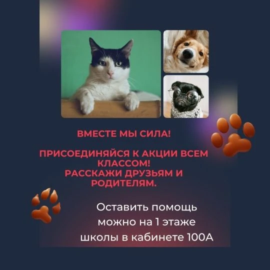 Добрый день! В рамках осенней недели Добра мы запускаем благотворительную акцию "Лапа п...