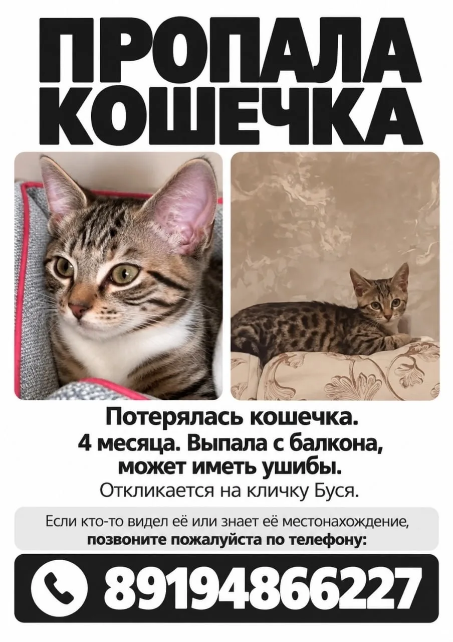 Мотовилихинский район улица Дружбы может быть убежала в радиусе двух кварталов.