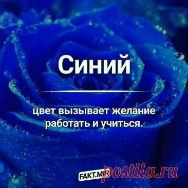 Открытки: подписаться ❤️
