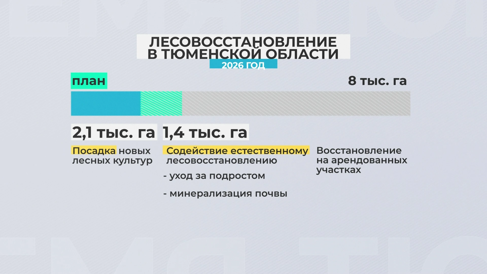 🌿 Как в Тюменской области возвращают жизнь лесам?