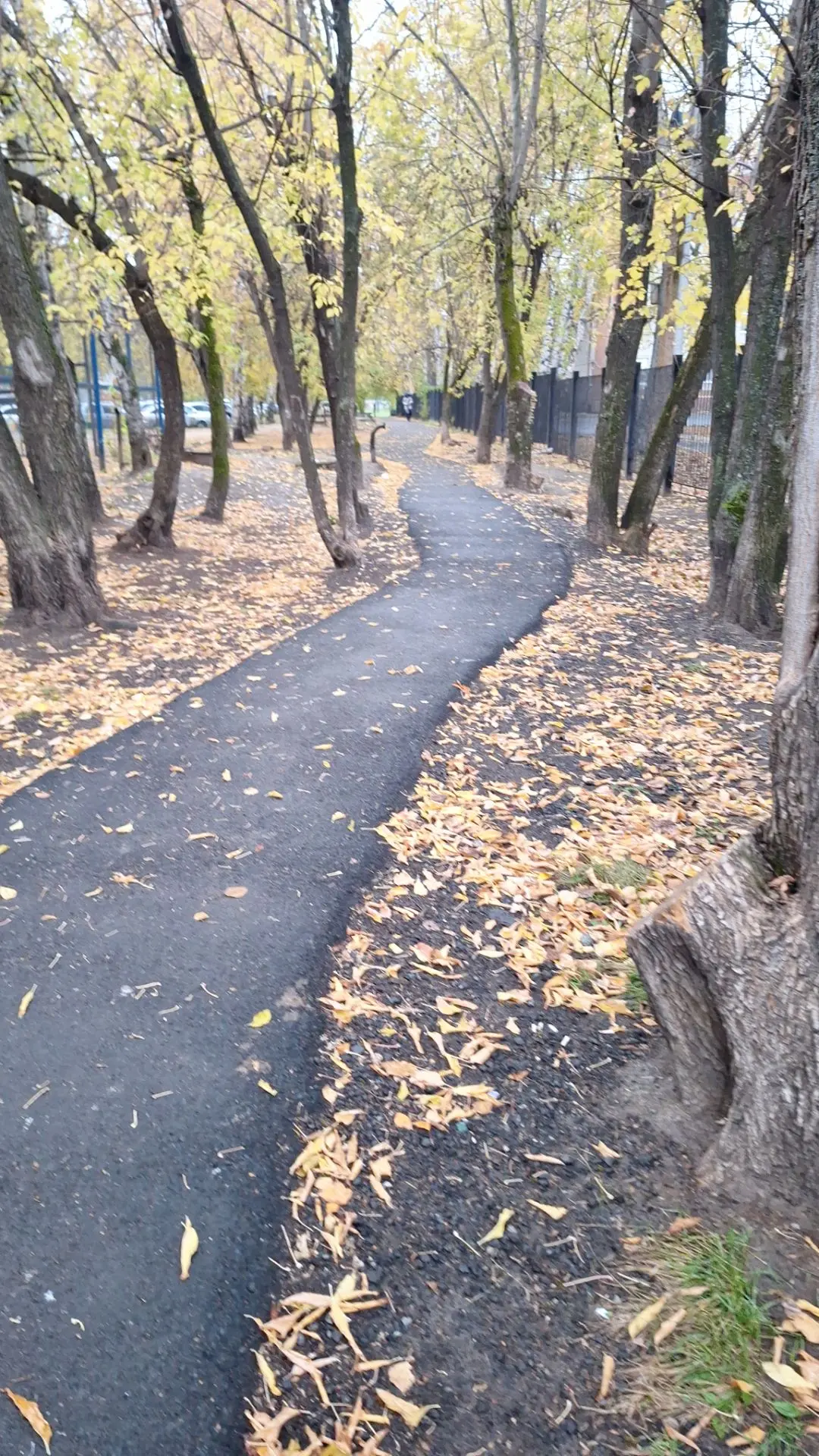 Доброе утро! ☕️🍂