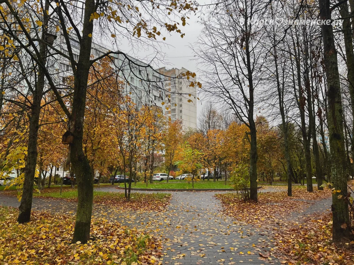 Прогулка по пасмурным улицам города ☔️