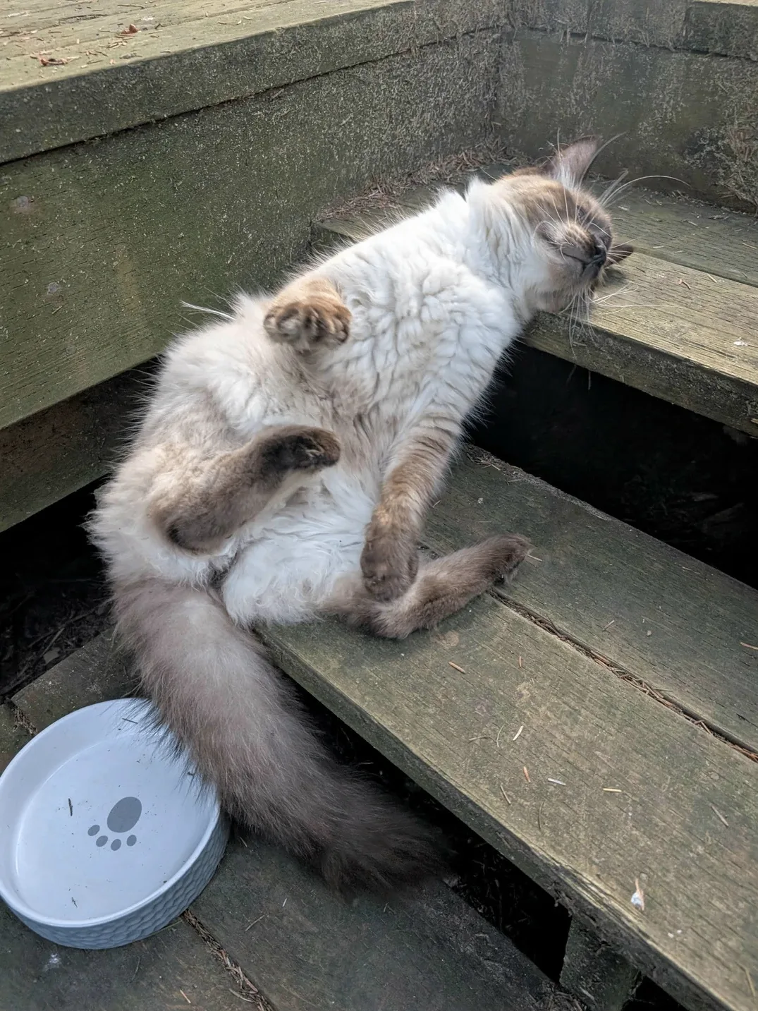 Планы на вечер 😸😸😸