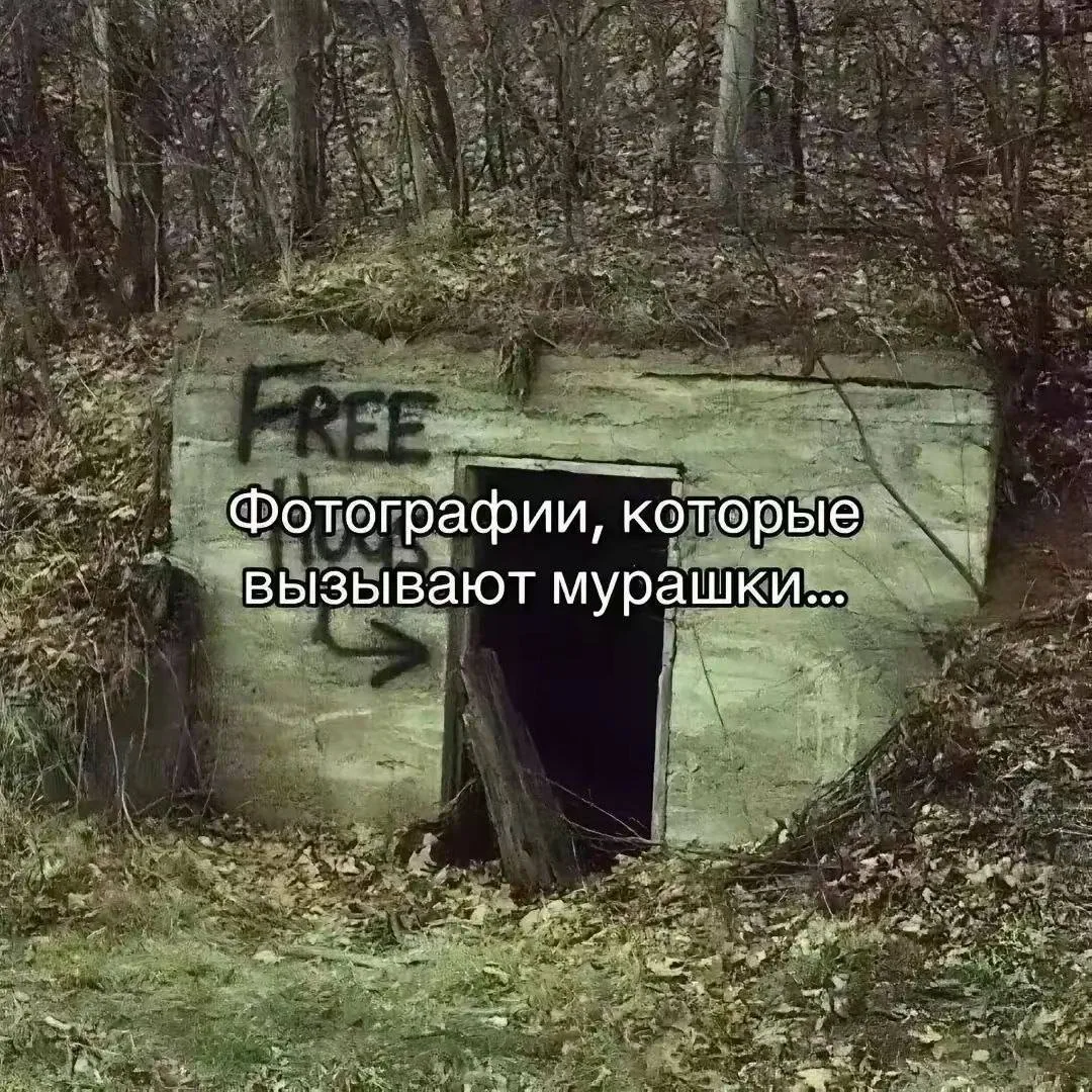 Все наши каналы