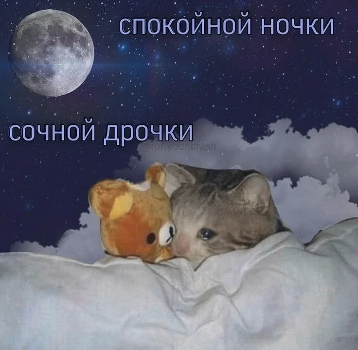 Сладких снов, котяты😘