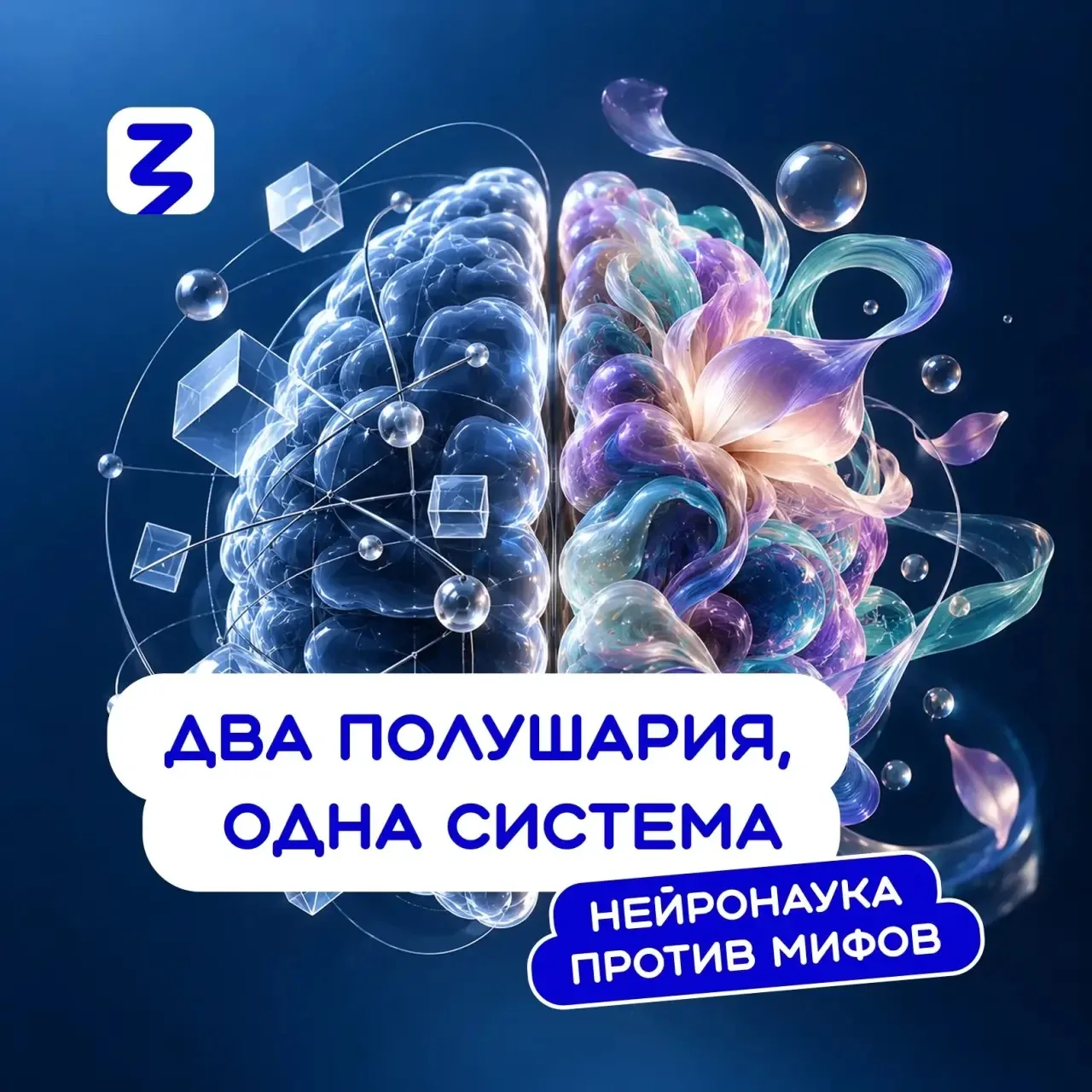 🧠 «Левое полушарие — для логики, правое — для творчества» — одна из самых известных ид...