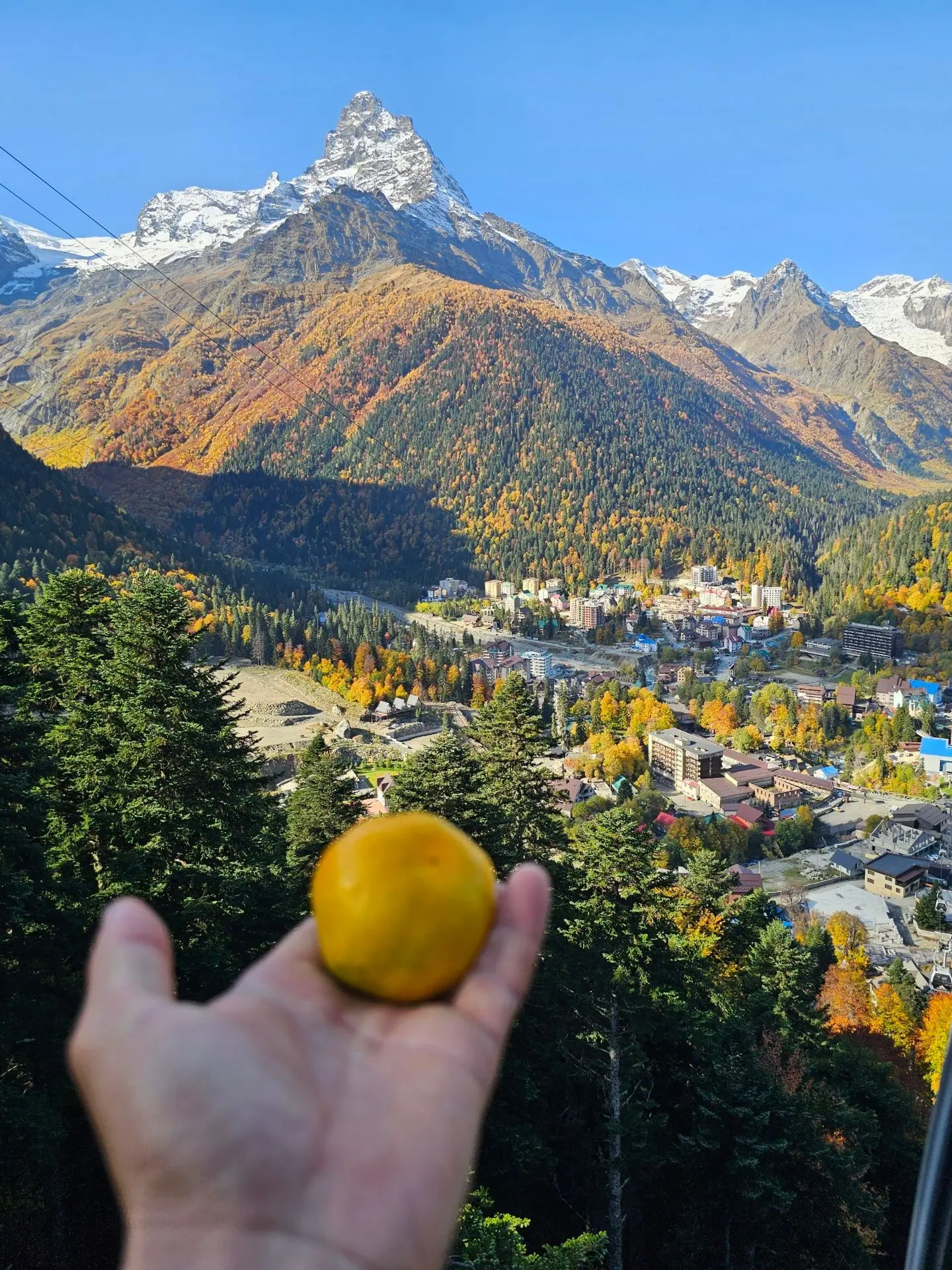 Ловим моменты, когда лето плавно перетекает в осень. 🧡
