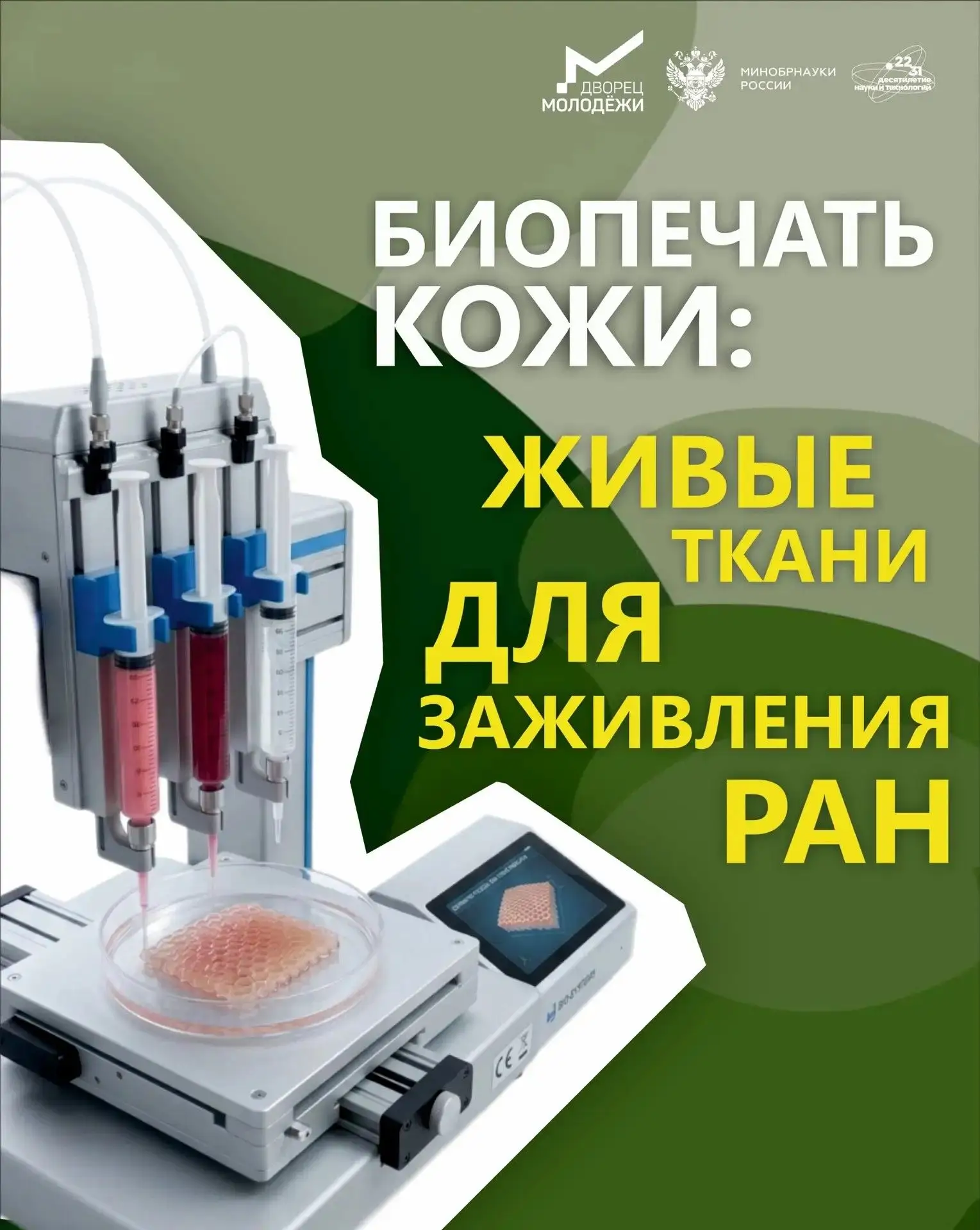🔬Биопечать кожи: как учёные «печатают» живые ткани для заживления ран