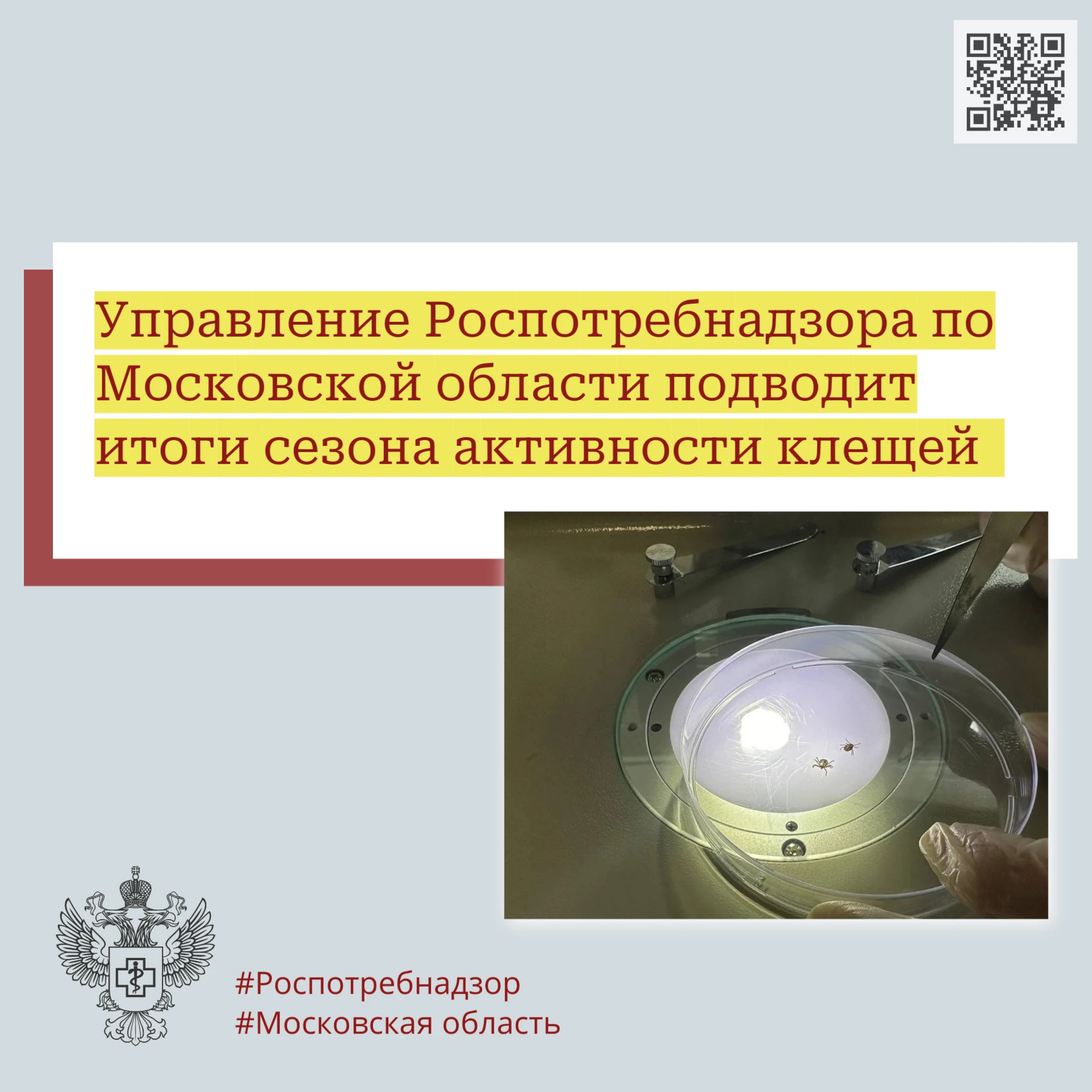 Управление Роспотребнадзора по Московской области подводит итоги сезона активности клещей