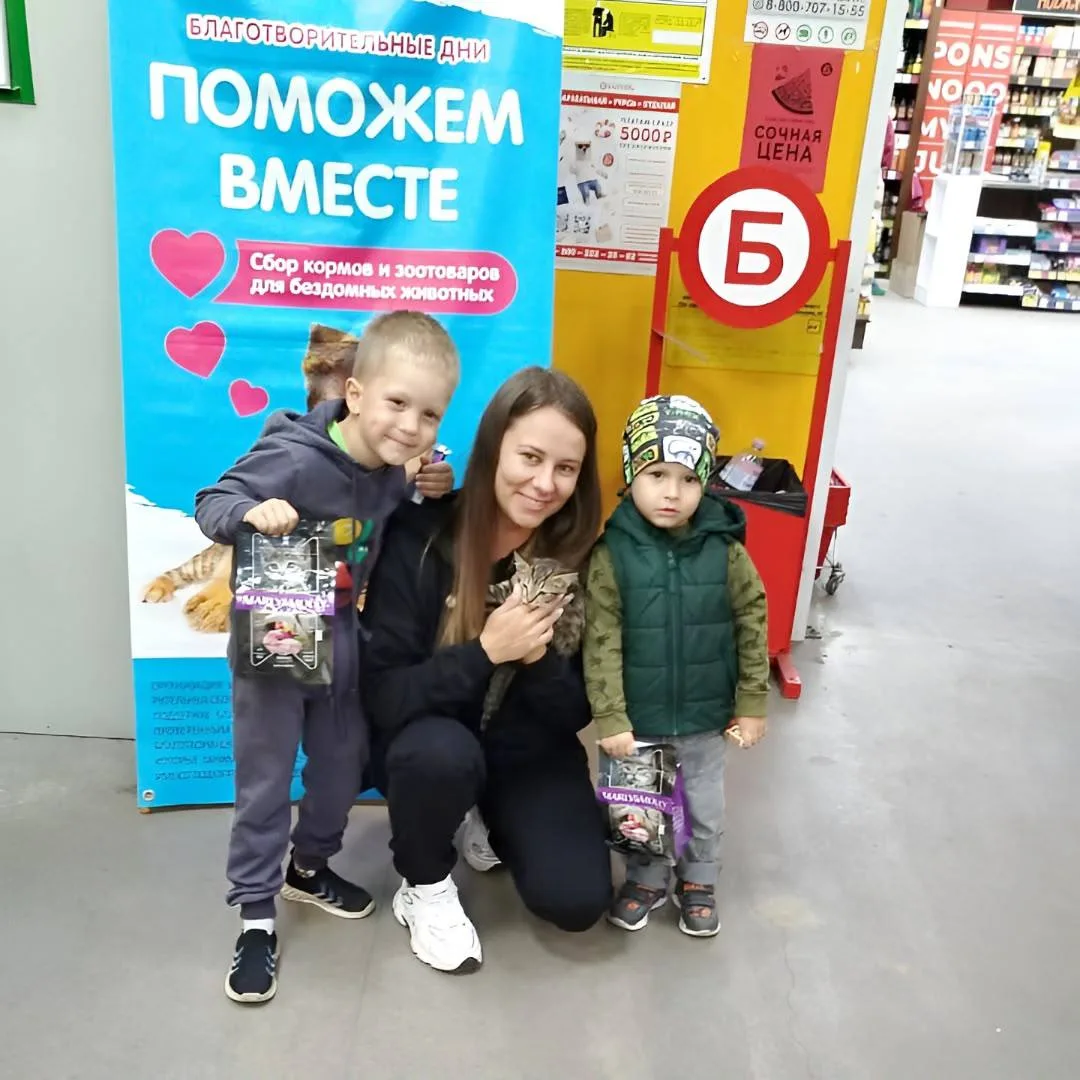 😻🐶 Во Владивостоке пройдет благотворительная акция для помощи животным