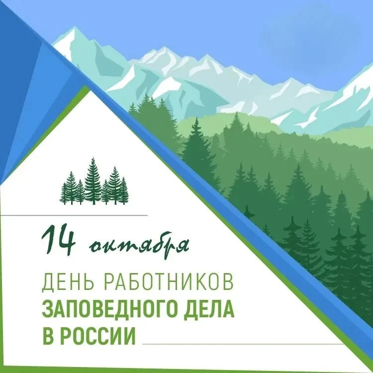 📆 14 октября 2026 года