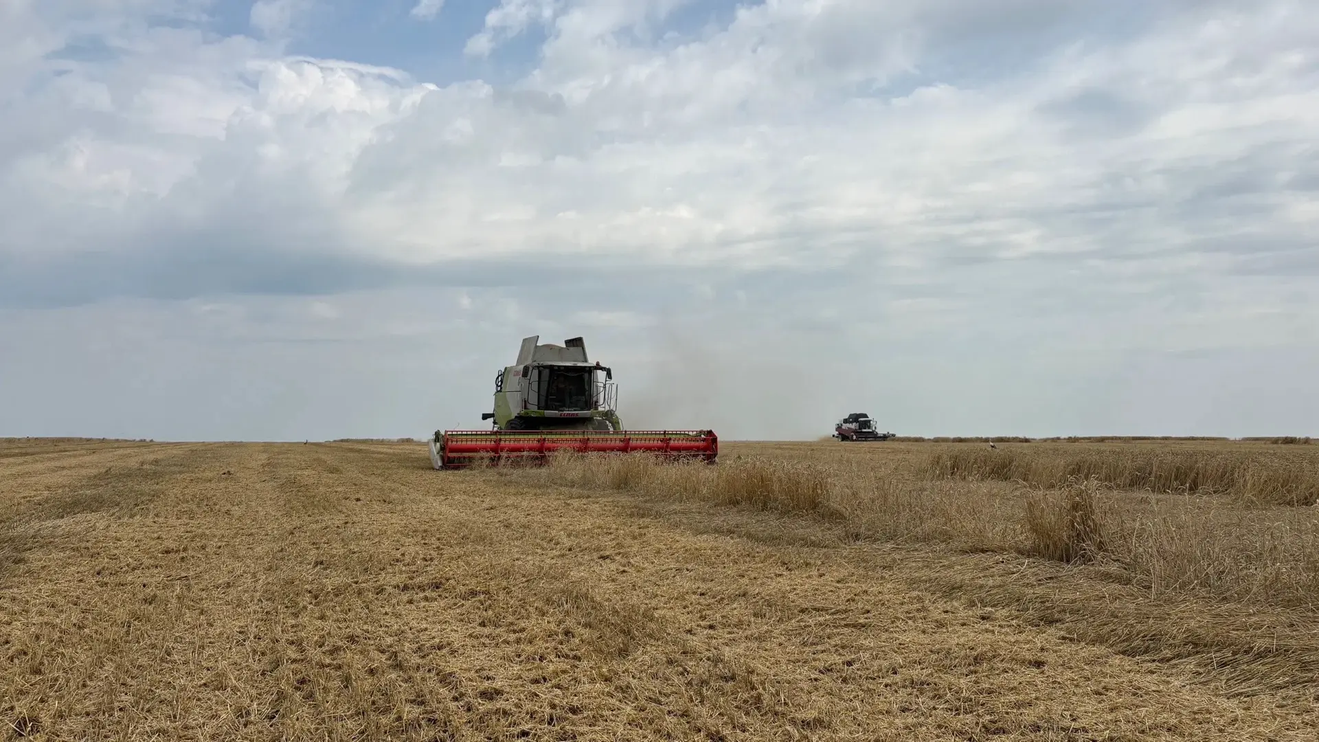 🌾Орловские аграрии отмечают профессиональный праздник