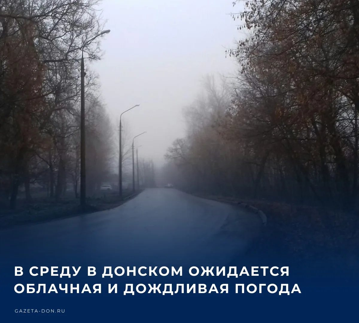 🌧️ В ночь на среду в Донском ожидается облачная погода, вероятность осадков составит 2...