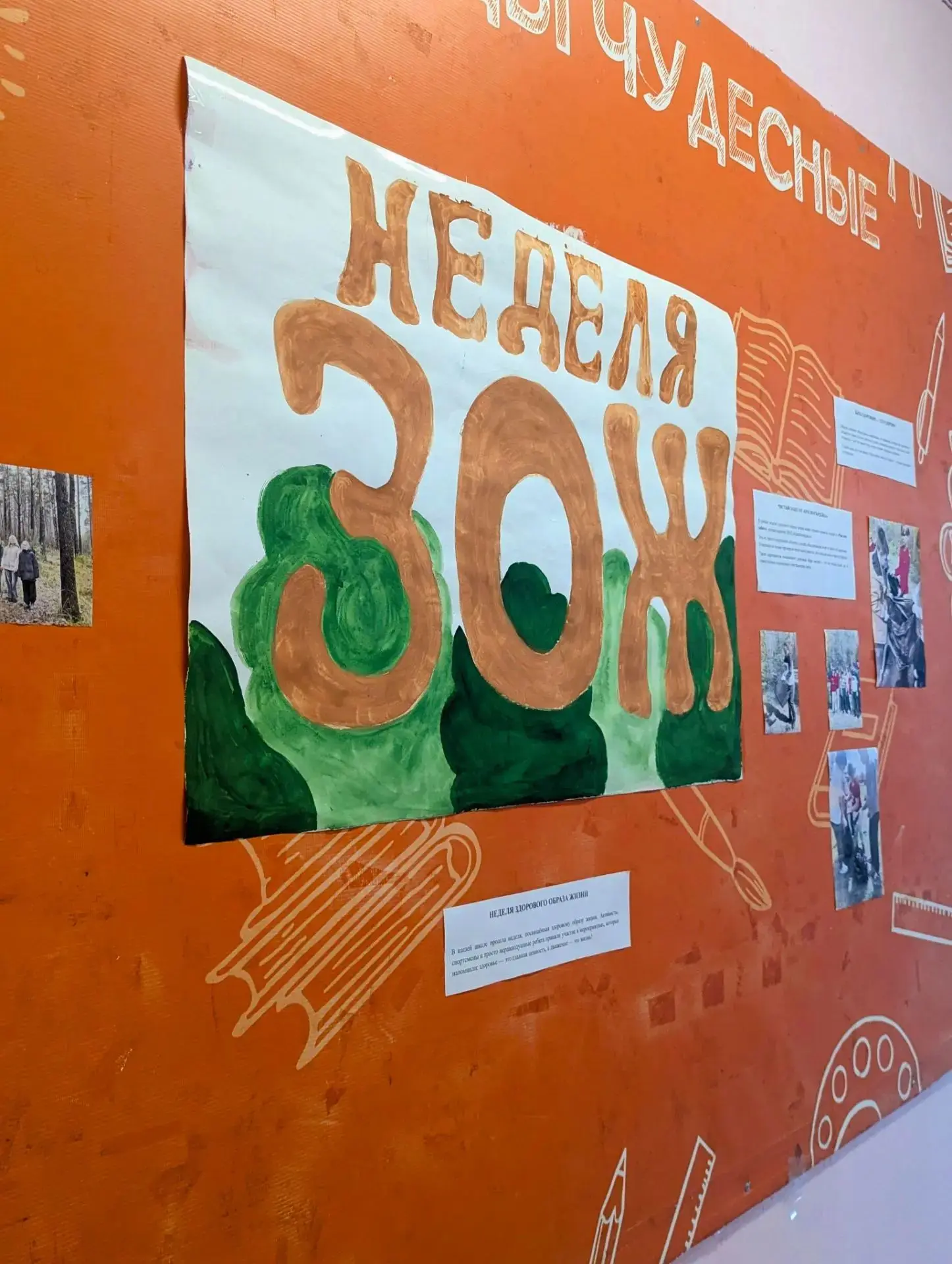 🌿 Неделя здорового образа жизни: как это было