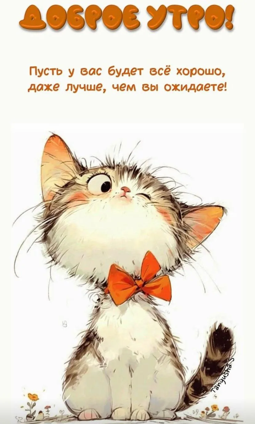 Ставьте ❤️если понравилась открытка