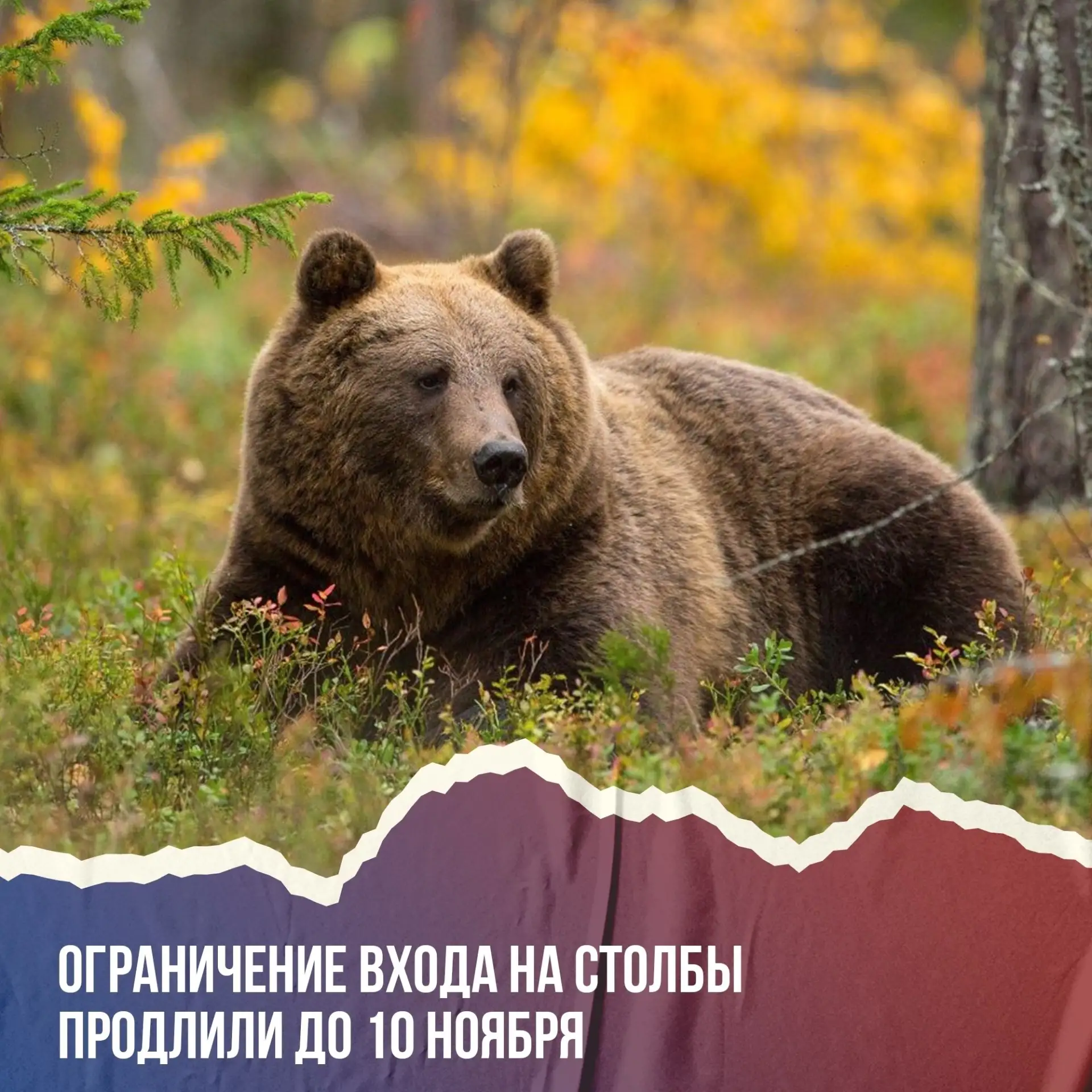 Запрет на посещение Столбов продлили до 10 ноября ⚠