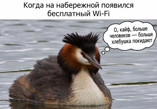 На набережной Первостроителей теперь 24 точки притяжения
