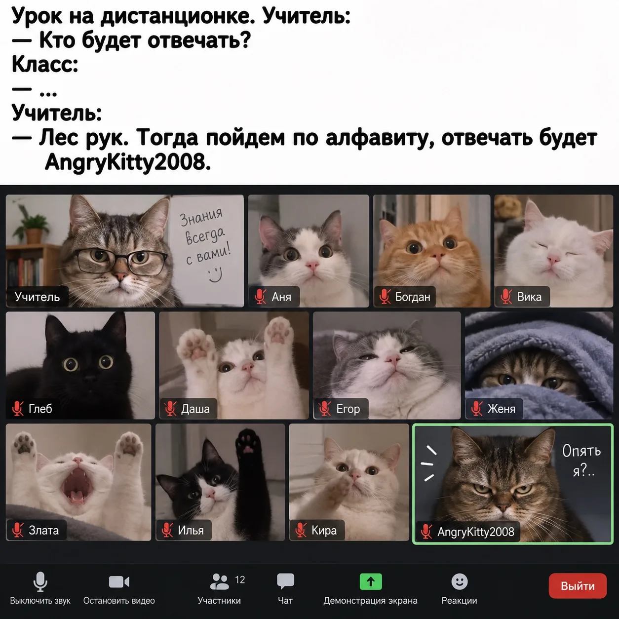 Когда дистанционный урок😅