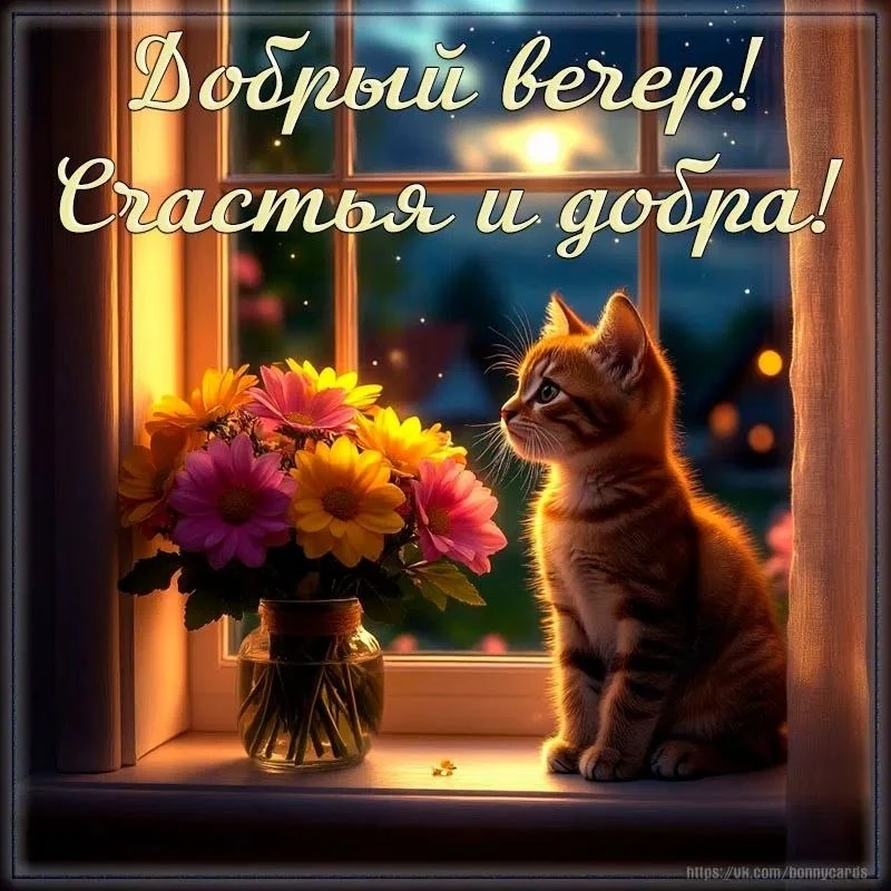 Открытки: подписаться ❤️
