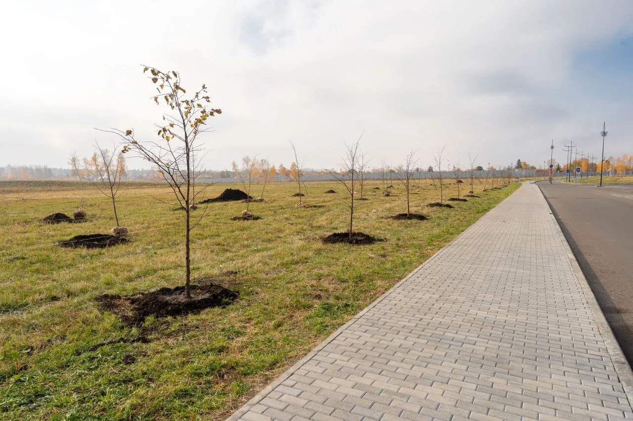 🌳 Масштабное озеленение: в парке «Притяжение» высадят более 800 новых деревьев