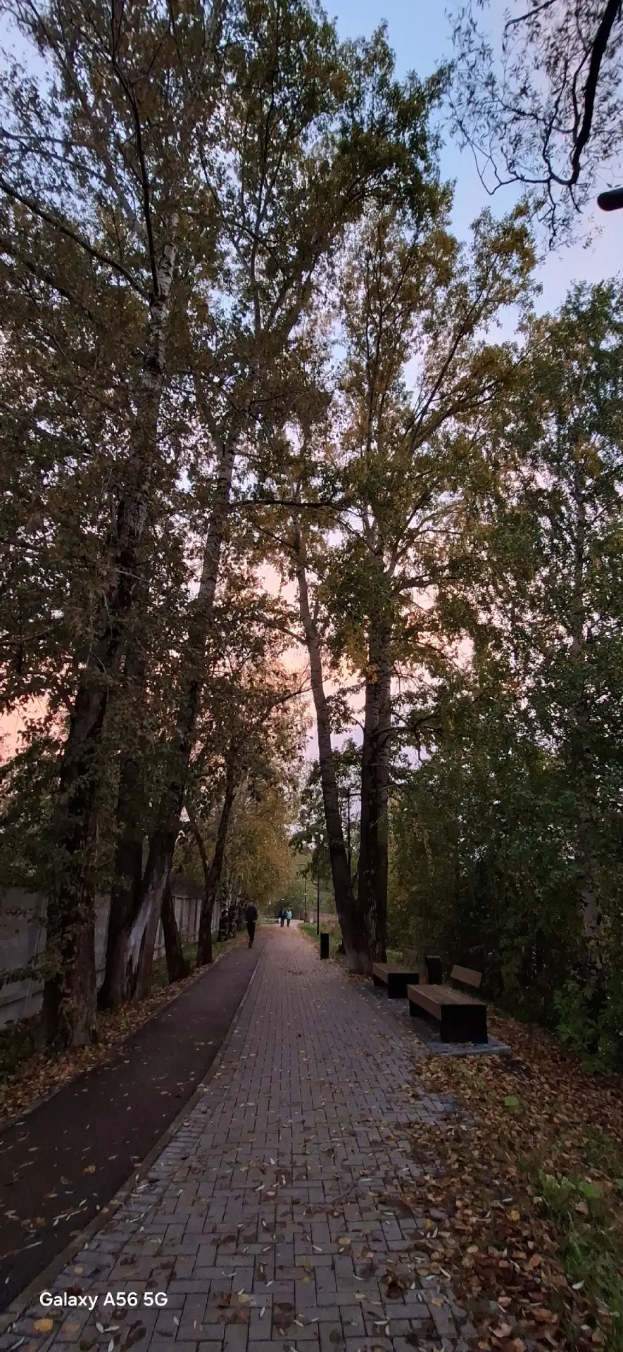 Фотографии Александровска