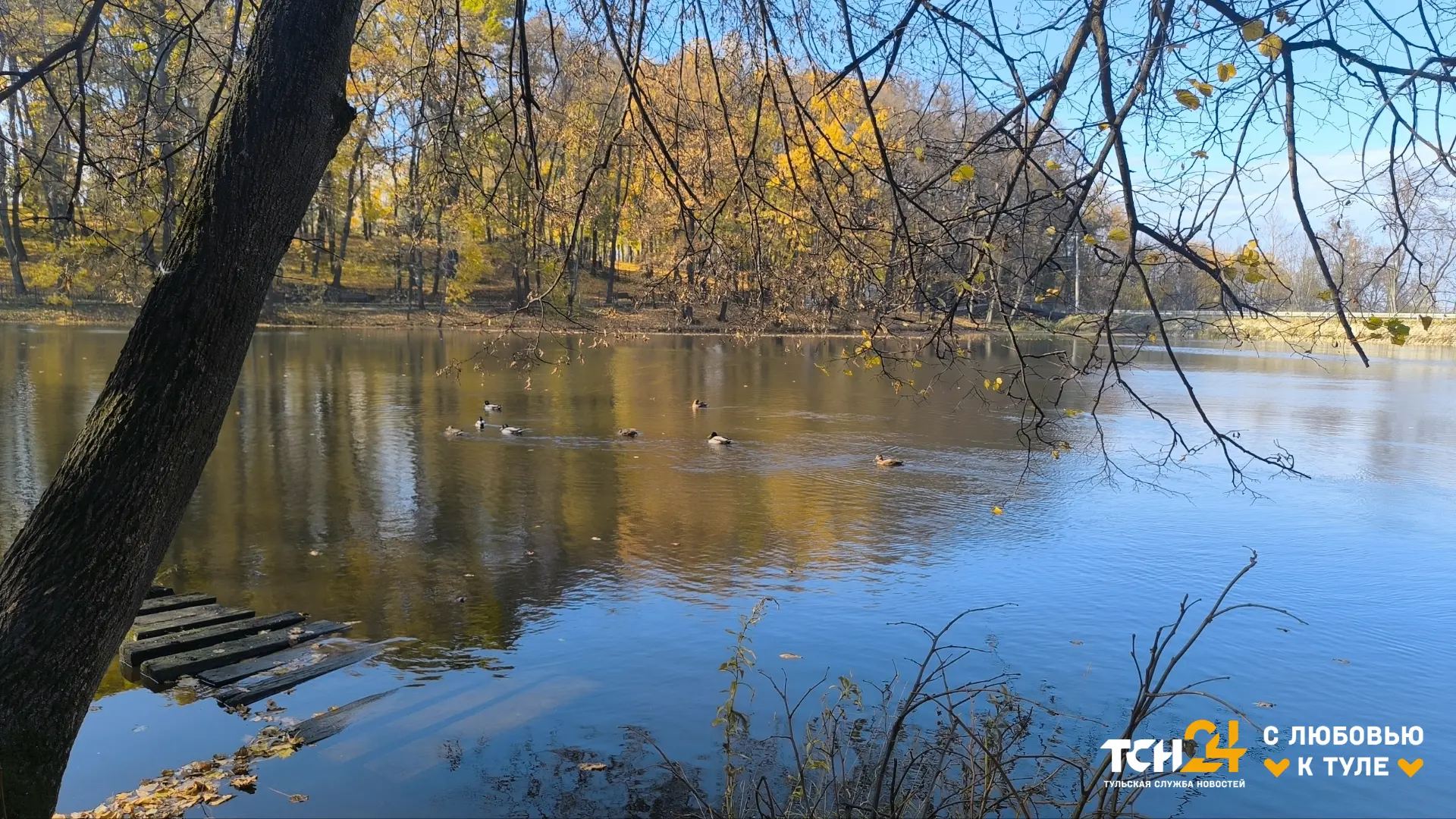 В Платоновском парке - безусловно, самые вайбовые осенние пейзажи 🍃
