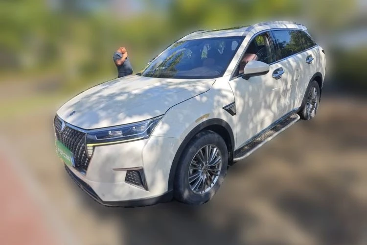 🚗 Venucia 2021