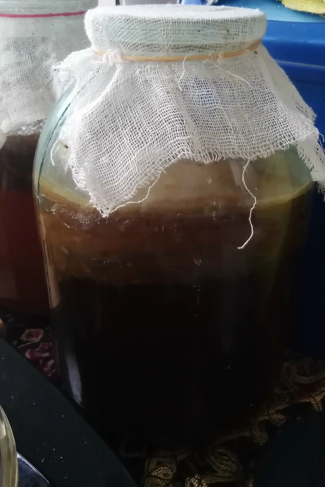 Отдам чайный гриб (комбуча). Без баллона.