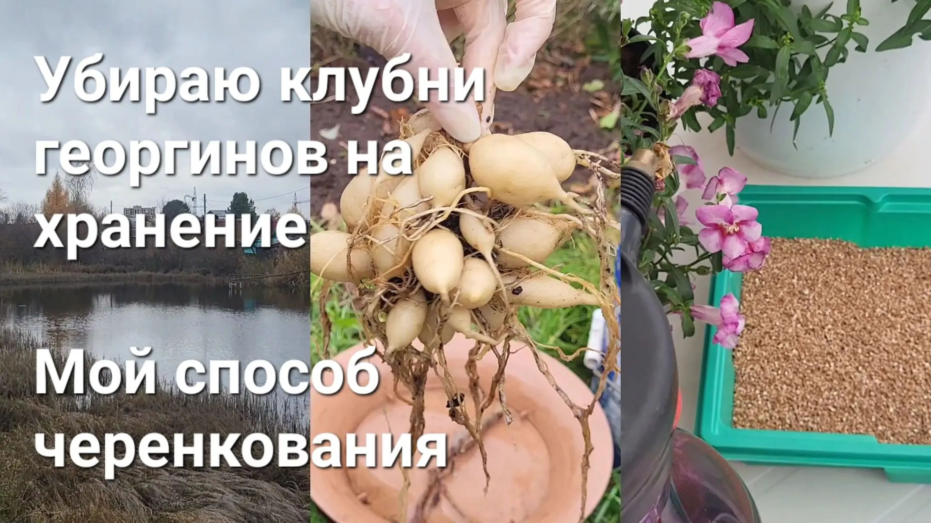 Очень рекомендую вам посмотреть мой новый влог📽