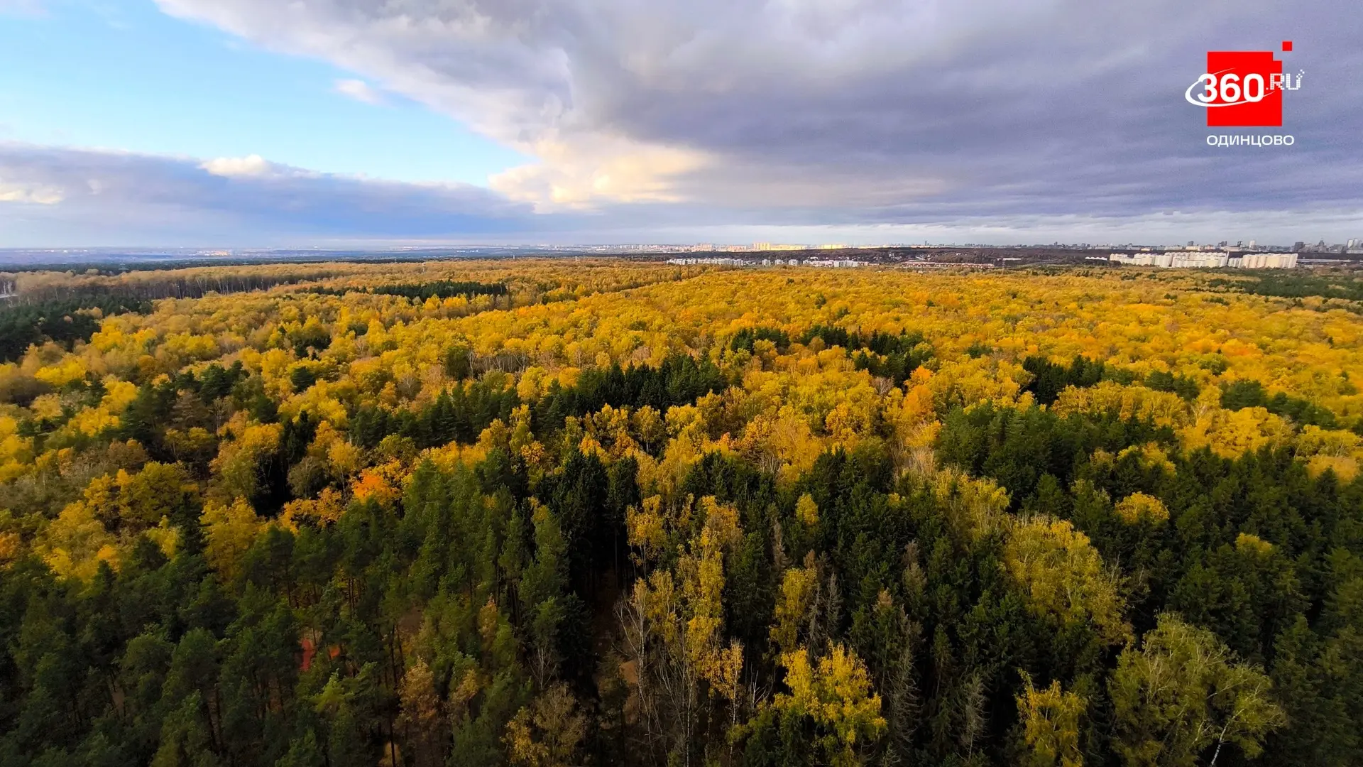 «Уж небо осенью дышало…» — на просторах Одинцовского округа 🍂