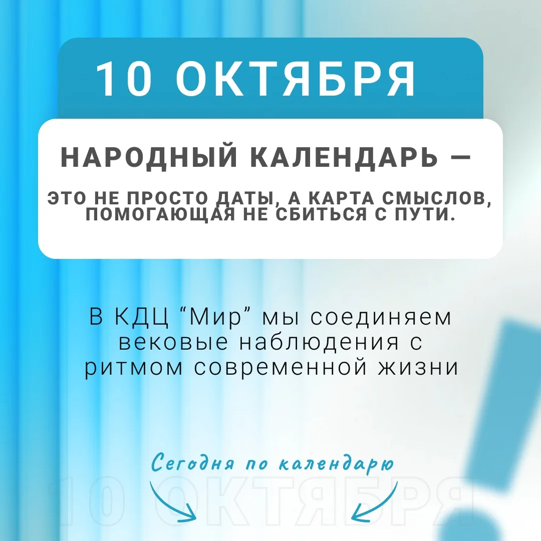 10 октября: пчёлы на зимовку и последние тёплые дни 🐝