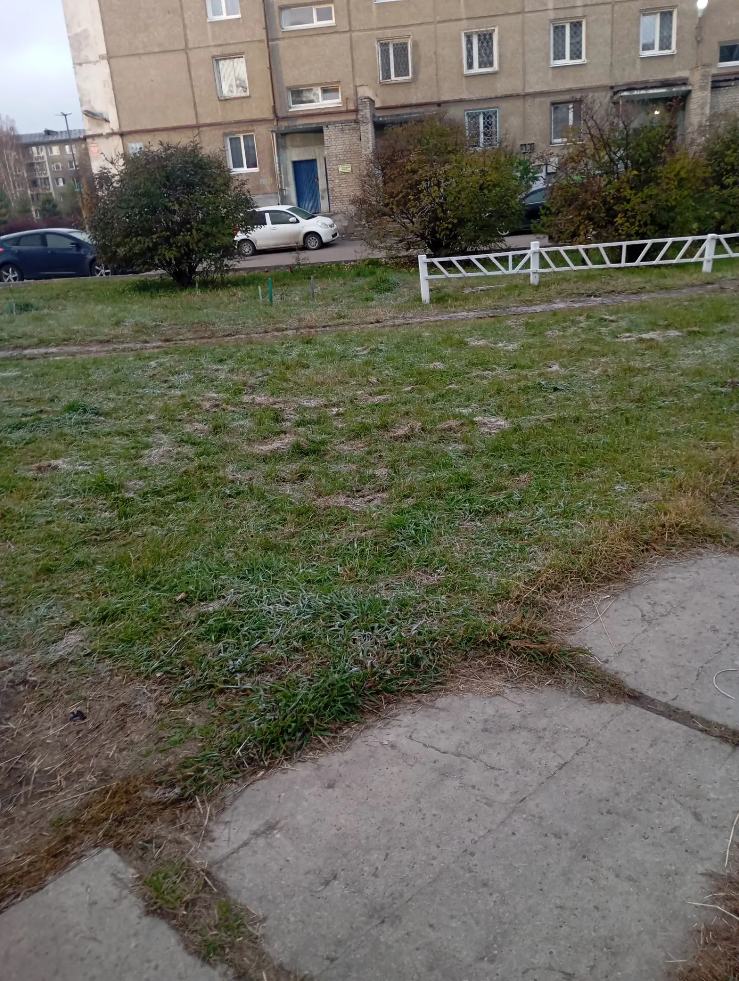 Всем привет, сегодня немного подморозило, замёрзла пока дошла до работы 🥶, сегодня веч...