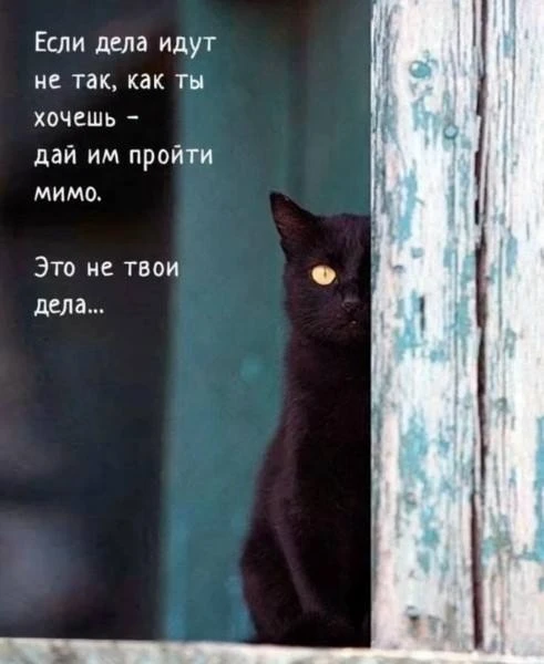 Понравился контент? Подпишись на наш второй канал MAXимально вкусно!