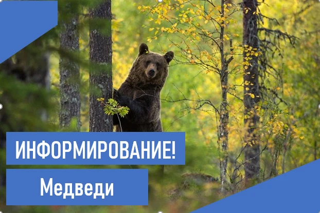 Сегодня, 7 октября, патрульная группа в составе МЧС и председателя правления общественн...