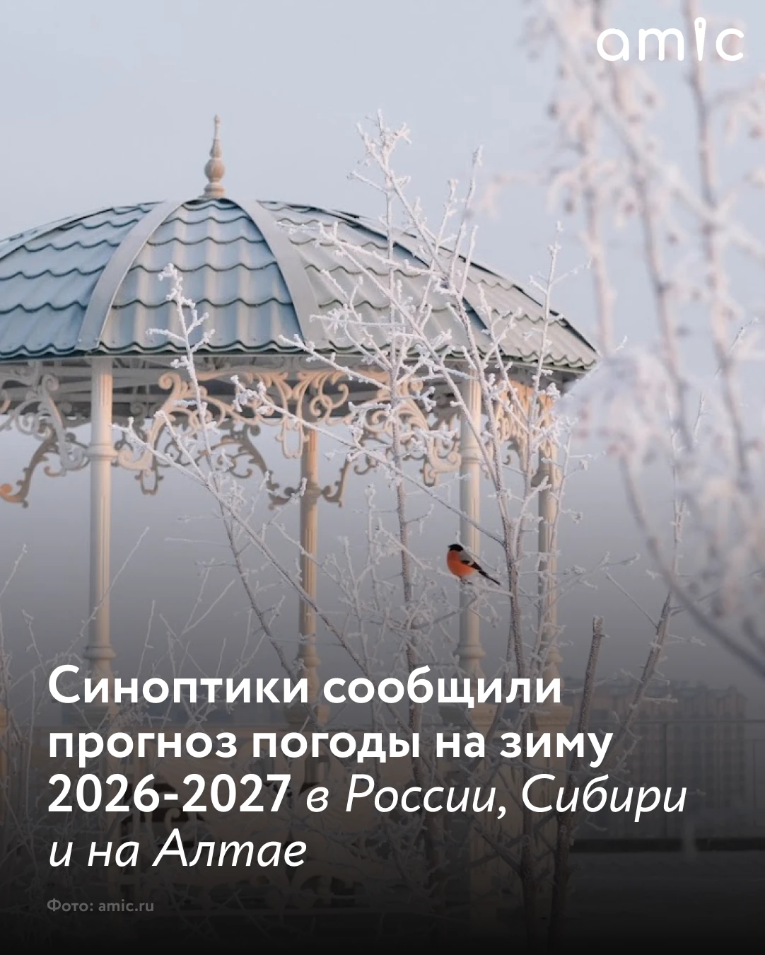 Предстоящая зима может стать одной из самых непредсказуемых за последние 25 лет: синопт...