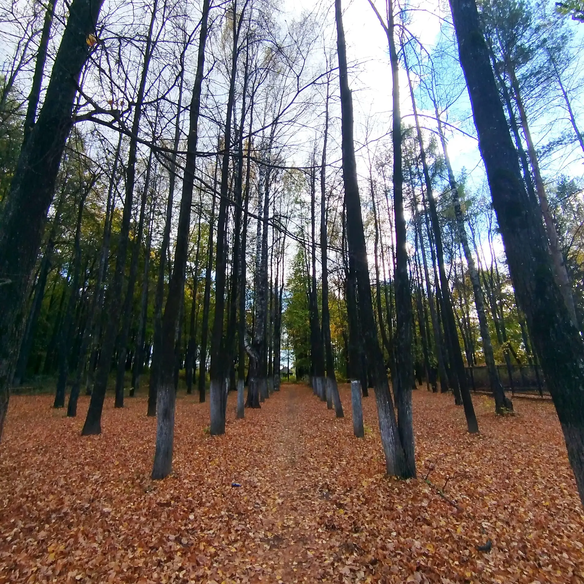 По улицам Яранска 🍂