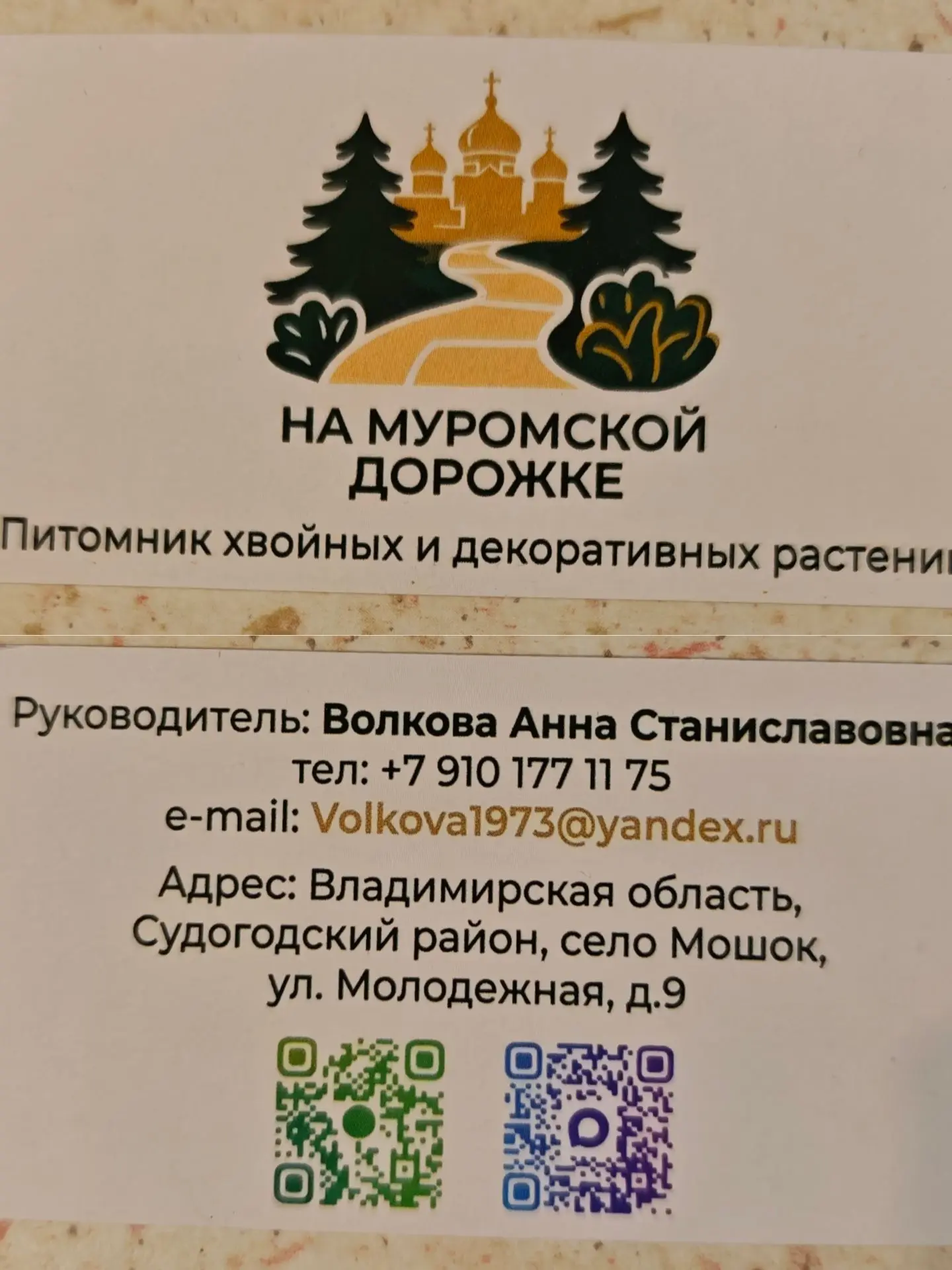 А я чуть-чуть подготовилась! Давно планировала придумать логотип питомника и заказать в...