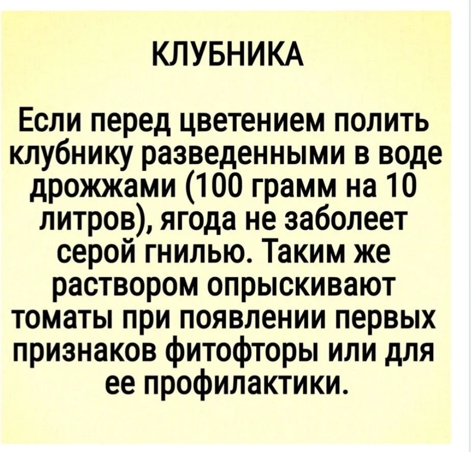 Дрожжи для сада🤍