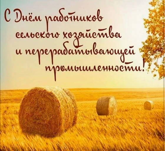 Уважаемые труженики села, работники и ветераны агропромышленного комплекса!