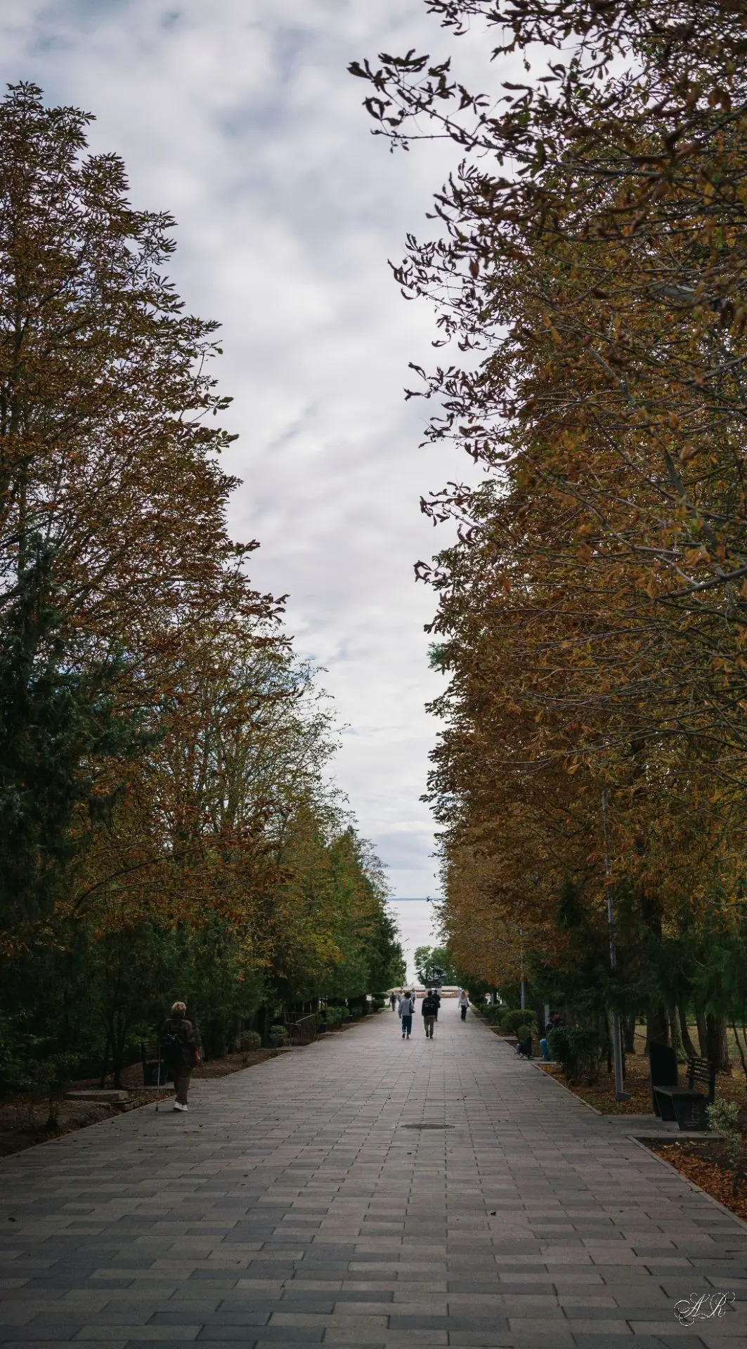 Осенний день в приморском парке.