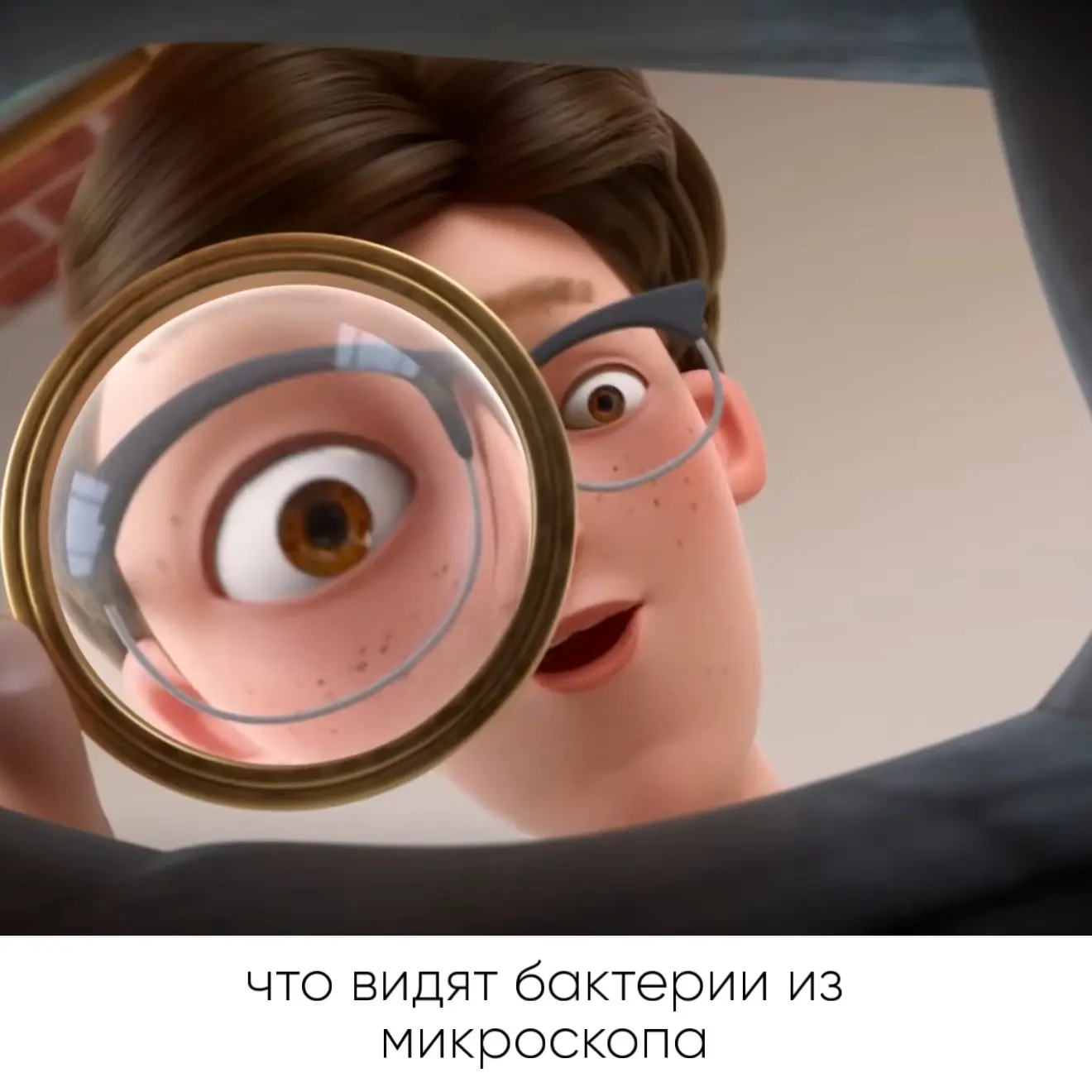 думаем, что это похоже на правду 🤣