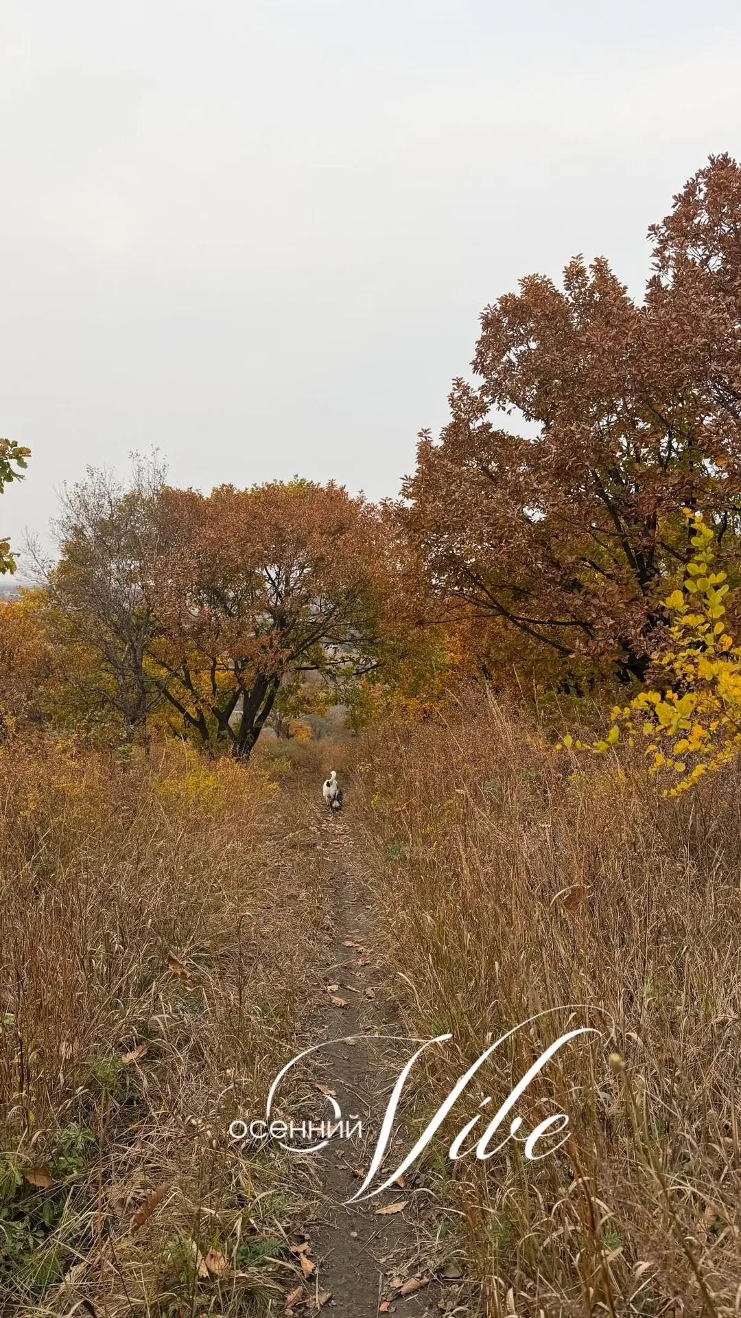 С добрым утром ! 🍂
