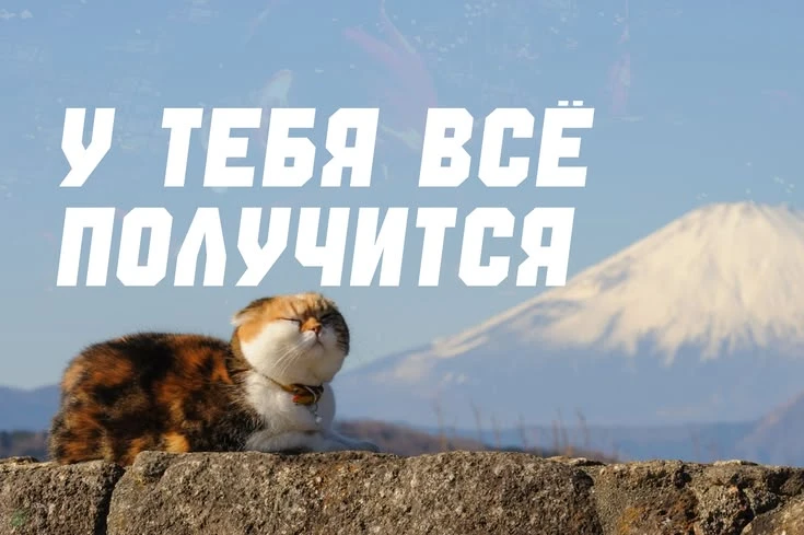Просто хотели сказать, что вы — умнички и все сможете ❤️