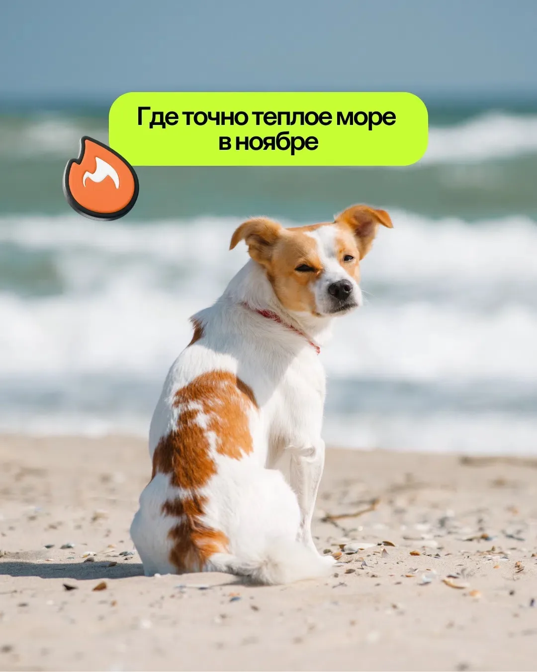 😎 Хотите самые низкие цены в страны с самым теплым морем?