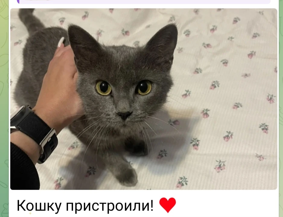 АРТЁМ