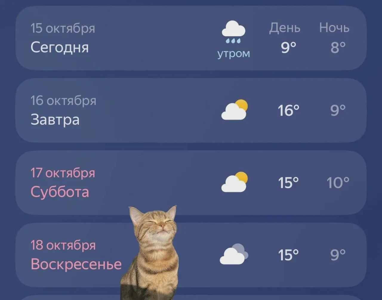 Потепление ожидается к концу недели