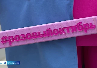 Во Владимире пройдёт мероприятие, посвящённое «Розовому октябрю»