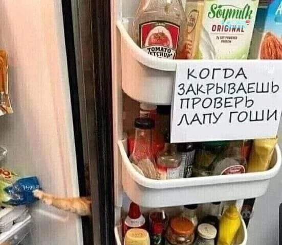 Поаккуратнее там... С дожорами... 🙄